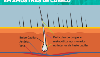 br-104-caruaru|17523687_406060193086019_7657067150128146099_n