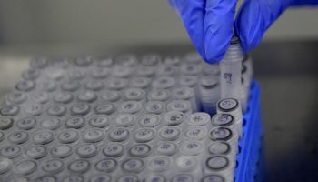 A researcher works on blood samples of COVID-19 patients, as part of a project which seeks to test the effectiveness of the use of plasma of patients who recovered from the new coronavirus in the treatment of patients where the virus is active, at the District Institute of Science, Biotechnology and Innovation in health (IDCBIS) in Bogota on August 12, 2020. (Photo by Raul ARBOLEDA / AFP)