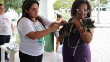 Dia D de vacinação antirrábica - Foto Arnaldo Felix