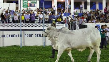 Exposição