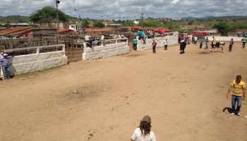 FEIRA DE GADO - foto Vital Florêncio 6