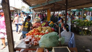 Feira Parque 18 de Maio - foto Helenivaldo Pereira 1