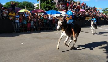 Festival Jericos