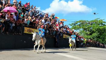 Festival de Jericos - foto assessoria