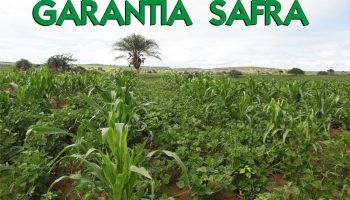 GARANTIA-SAFRA