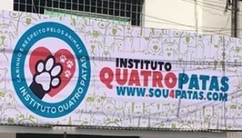 Instituto Quatro Patas