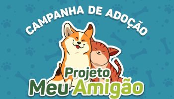 campanha adoção