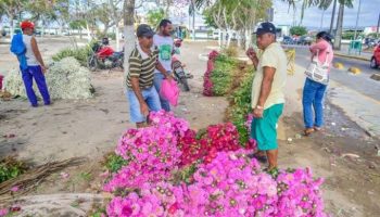 feira de flores na ceaca