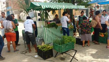 feira de orgânico Surubim