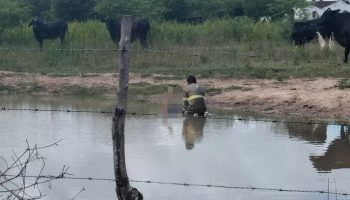 homicídio em Lajedo