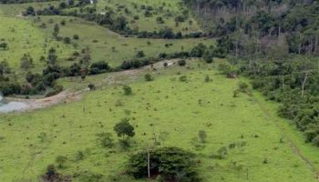 projeto_rural_na_amazonia_-_pnud